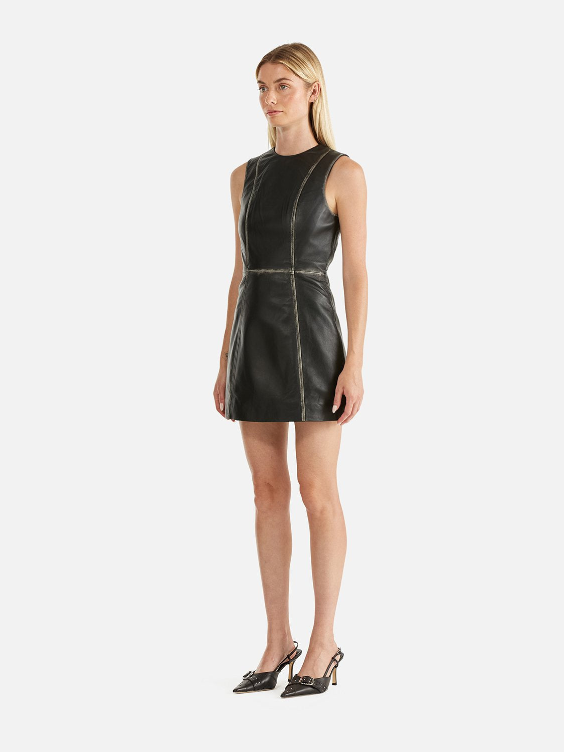 Billie Leather Dress - Black/Birch