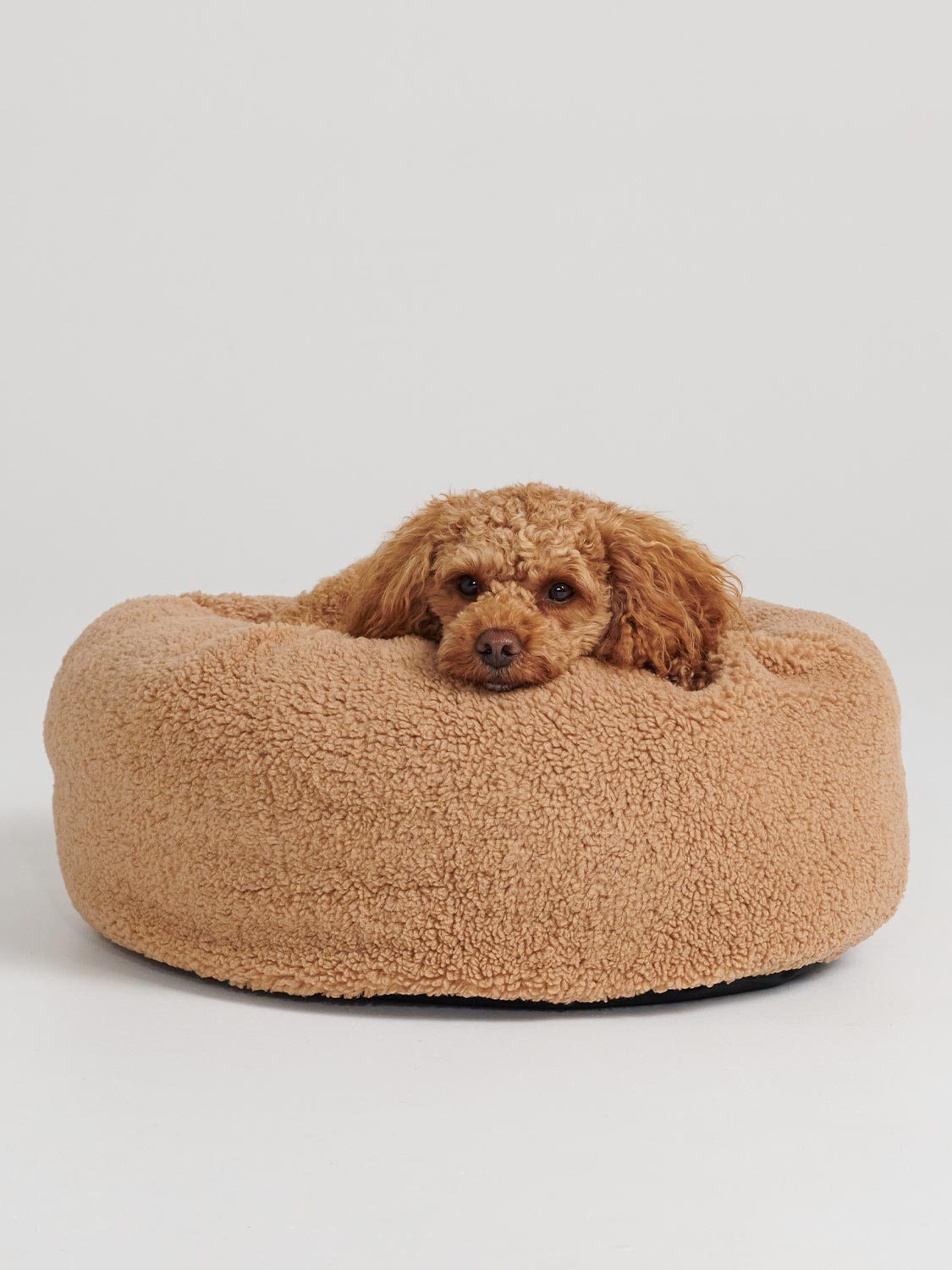 Teddy Tan Dog Bed