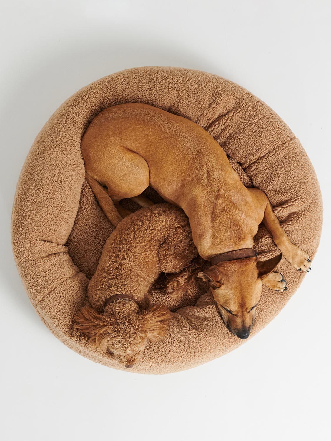 Teddy Tan Dog Bed