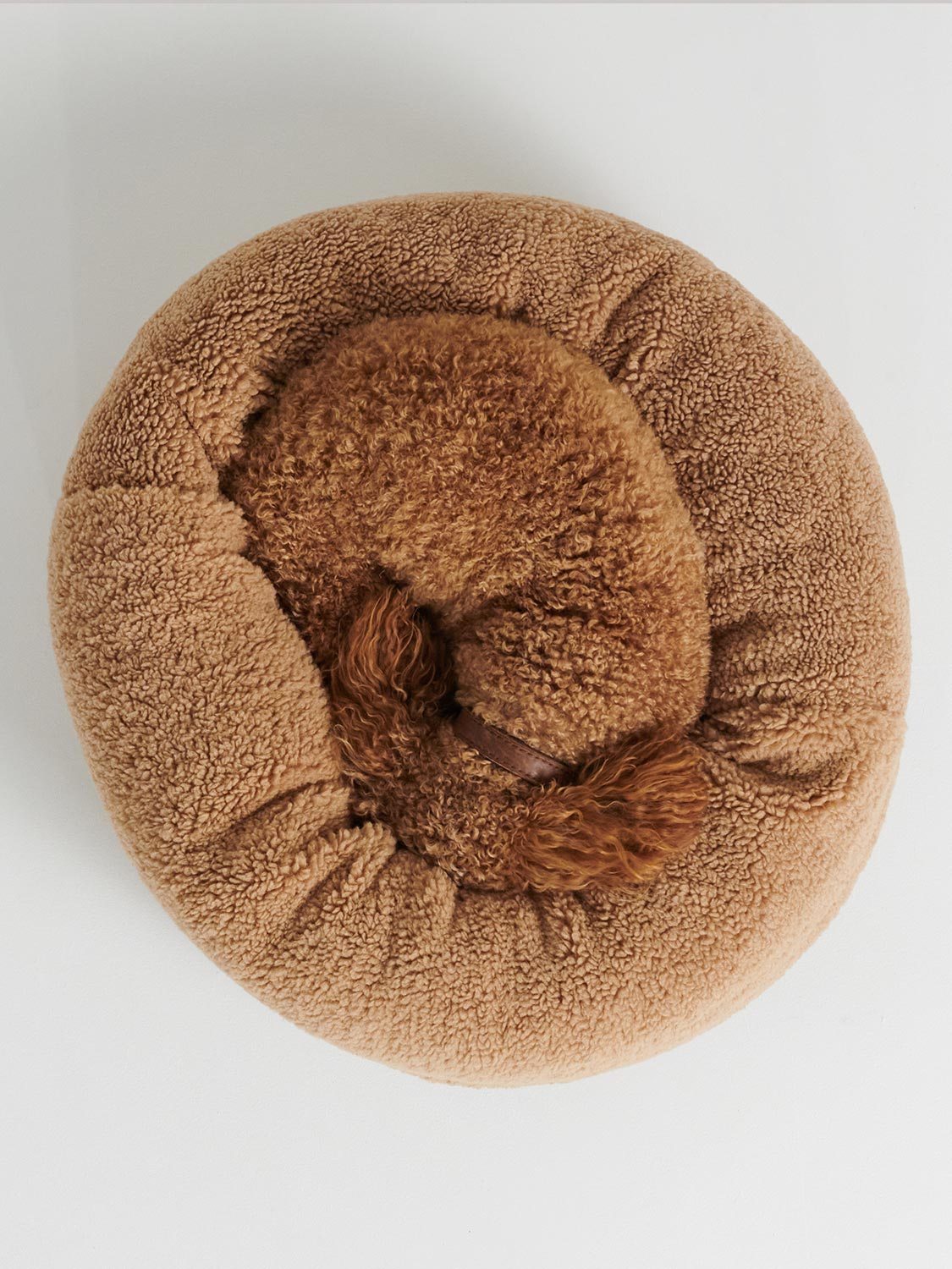 Teddy Tan Dog Bed